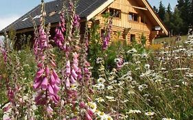 Srub Javorná - apartmány Šumava